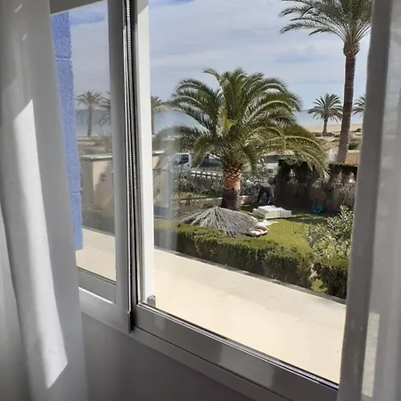Oasis *